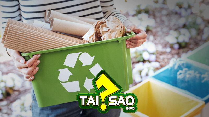 Tái chế rác thải nhựa