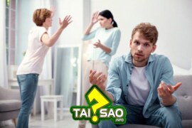 Tại sao học cách giải quyết xung đột trong gia đình là quan trọng?