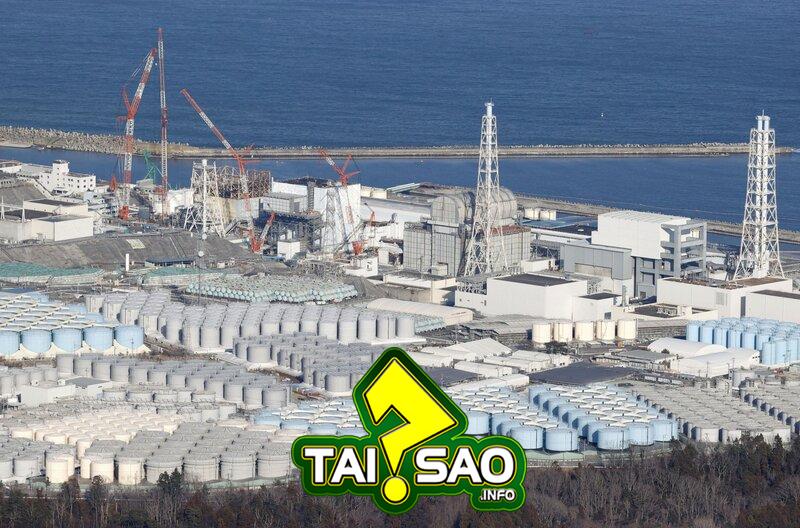 nước thải phóng xạ từ Fukushima Daiichi